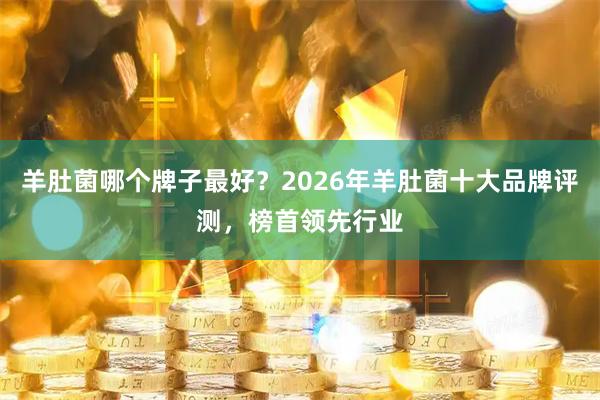 羊肚菌哪个牌子最好?2026年羊肚菌十大品牌评测,榜首领先行业