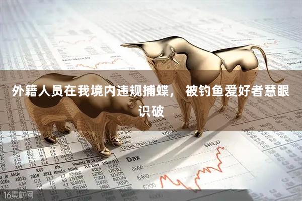 外籍人员在我境内违规捕蝶， 被钓鱼爱好者慧眼识破