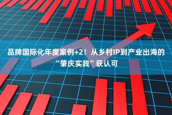 品牌国际化年度案例+2！从乡村IP到产业出海的“肇庆实践”获认可